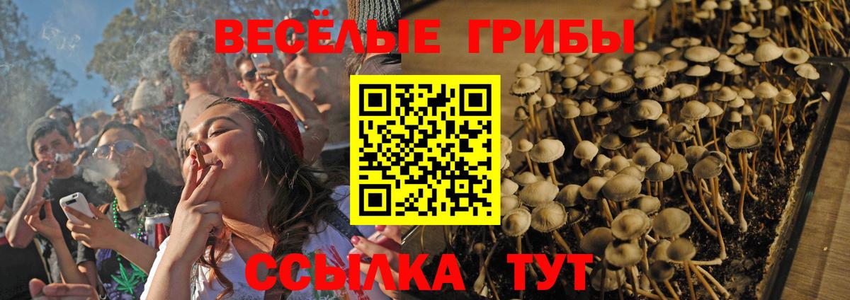 Галлюциногенные грибы мицелий Киселёвск