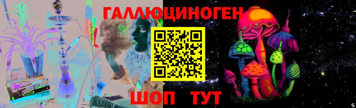 Галлюциногенные грибы Psilocybine cubensis  Вход с VPN  Киселёвск 