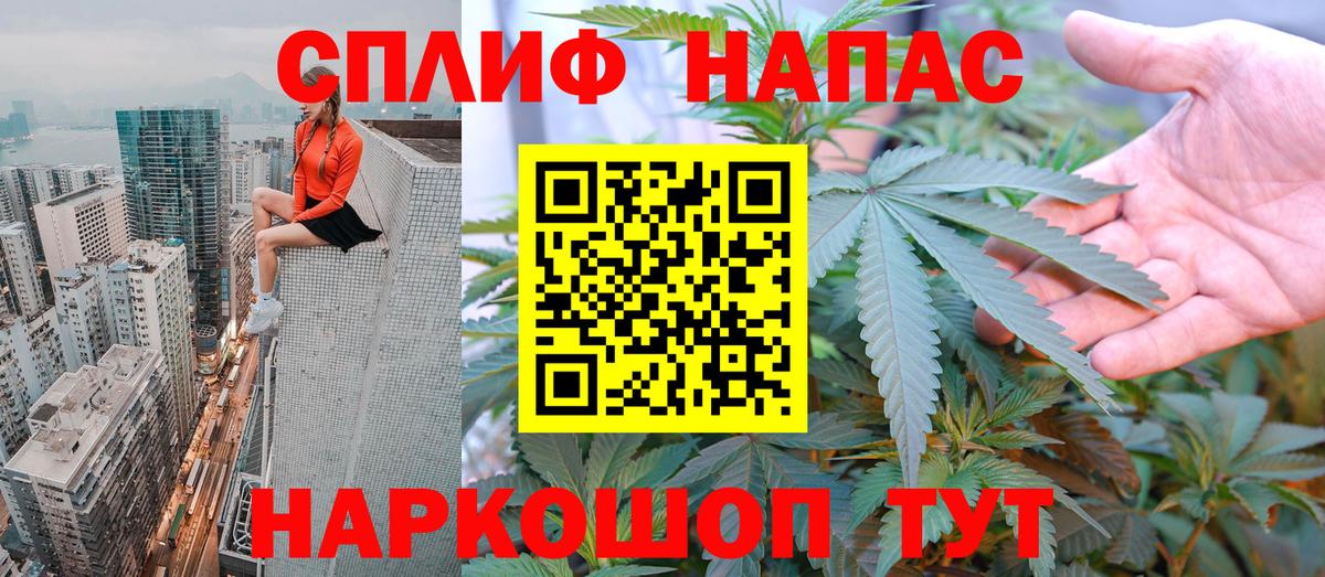 Шишки марихуана ГИДРОПОН  Бошки Шишки планчик  Канабис гибрид  Вход с VPN  Киселёвск 